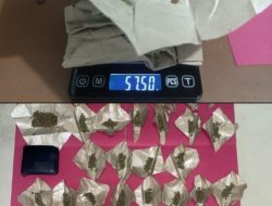 57 Gram Ganja Diamankan di Ngabang, Polisi Sebut Dua Pelaku Masih Buron