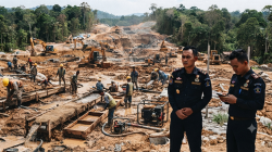 SANGSOT! Imigrasi Mempawah Diduga Lakukan Pembiaran Terhadap TKA Ilegal di Mandor