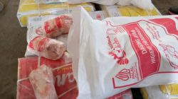 Hengki: Pasokan Ayam Beku Dijamin Aman dengan Sistem Cold Storage Berstandar