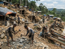 Tambang Emas Berkedok Silika di Mandor, CV Adi Karya Cahaya Sejati Libatkan TKA Asing China dan Malaysia