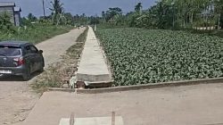BWS Kalimantan I memastikan akan terus berkoordinasi dengan Kementerian Pekerjaan Umum agar proses penyelesaian administrasi proyek berjalan sesuai aturan dan tidak menghambat penyelesaian kewajiban pemerintah terhadap pekerjaan yang telah tuntas dilaksanakan.