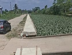 Meski Anggaran Dipangkas, Proyek Perkuatan Tebing Sungai Berembang Tetap Rampung 100 Persen
