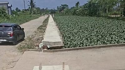 BWS Kalimantan I memastikan akan terus berkoordinasi dengan Kementerian Pekerjaan Umum agar proses penyelesaian administrasi proyek berjalan sesuai aturan dan tidak menghambat penyelesaian kewajiban pemerintah terhadap pekerjaan yang telah tuntas dilaksanakan.