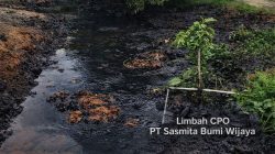 Sungai bagi masyarakat Dayak bukan sekadar aliran air, melainkan ruang spiritual dan sumber pangan turun-temurun yang sekarang dinodai tanpa rasa bersalah.