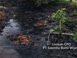 Ketua Dewan Adat Dayak Tayan Hulu Murka, Limbah CPO Hitam Pekat PT Sasmita Bumi Wijaya (PT SBW) Cemari Nadi Kehidupan
