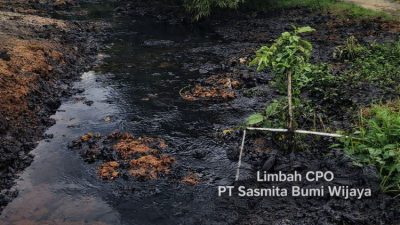 Sungai bagi masyarakat Dayak bukan sekadar aliran air, melainkan ruang spiritual dan sumber pangan turun-temurun yang sekarang dinodai tanpa rasa bersalah.