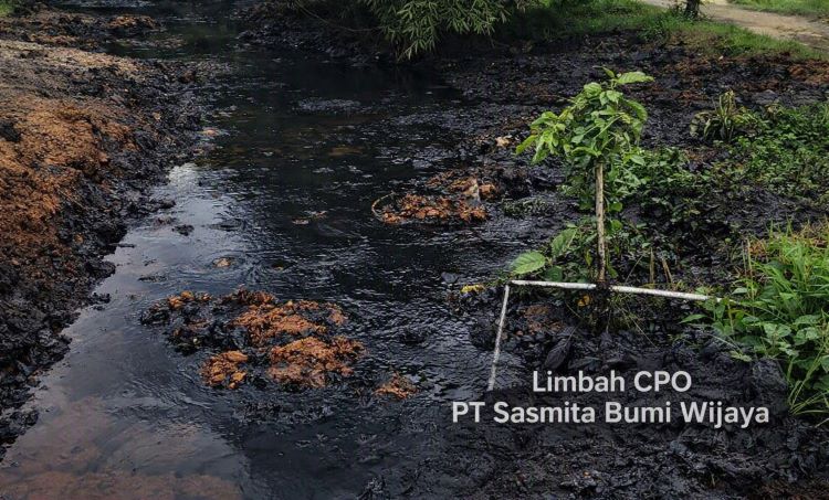 Sungai bagi masyarakat Dayak bukan sekadar aliran air, melainkan ruang spiritual dan sumber pangan turun-temurun yang sekarang dinodai tanpa rasa bersalah.