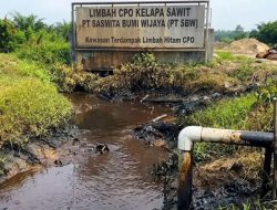 KASUS VIRAL! Dosa Limbah Hitam CPO PT Sasmita Bumi Wijaya: Surat Hitam untuk Presiden Prabowo, Menteri LH, DLH Sanggau Kalbar