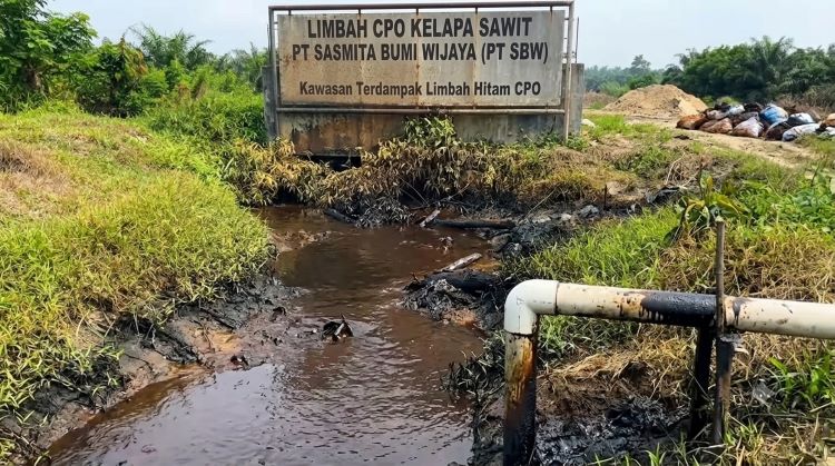 Inilah dugaan pencemaran Sungai Lape oleh limbah CPO PT Sasmita Bumi Wijaya. Pekat malam hari mengganti jernih air dengan tinta dosa korporasi di Tayan Hulu, Sanggau Kalimanta Barat.