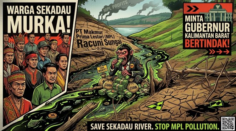 Skandal kasus lingkungan menggemparkan Kalimantan Barat. PT Makmur Prima Lestari (MPL) membuang limbah pabrik secara sengaja ke Sungai Gonis hingga mengalir ke Sungai Kapuas. Warga Sekadau angkat bicara, menyebut insiden ini bukan kebocoran biasa melainkan aksi nekat korporasi sawit memperlakukan sungai sebagai tong sampah raksasa. Limbah beracun dinilai mengancam ekosistem, biota air, dan kesehatan masyarakat hilir.