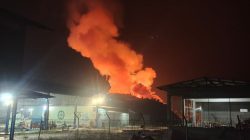 PT GKM HPI Agro Djarum Grup bungkam, tangkos membara