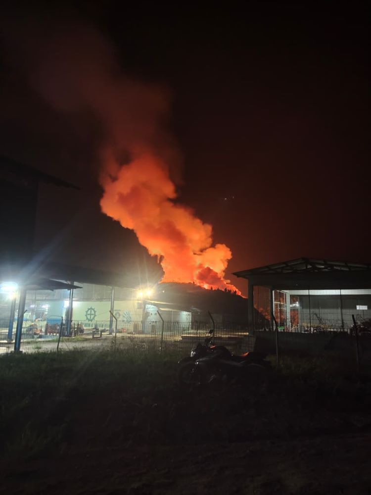 PT GKM HPI Agro Djarum Grup bungkam, tangkos membara