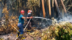 Antisipasi Karhutla, Holding perkebunan Nusantara melalui PTPN IV PalmCo Perkuat Deteksi Dini dan Patroli di Sumatera-Kalimantan