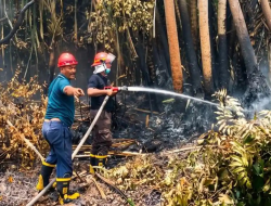 Antisipasi Karhutla, Holding perkebunan Nusantara melalui PTPN IV PalmCo Perkuat Deteksi Dini dan Patroli di Sumatera-Kalimantan
