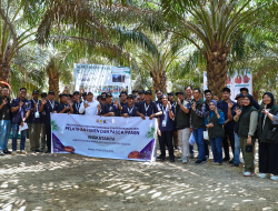 PTPN Group Tingkatkan Panen dan Mutu TBS: PT RPN, BPDP dan Ditjenbun Perkuat Kompetensi 111 Pekebun Sumsel