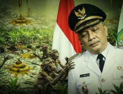 VIRA! Kasus Wakil Bupati Bengkayang Haji Syamsul Rizal Miliki Sawit Ratusan Hektare, Hukum Tidur